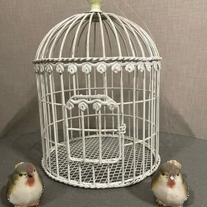 Bird cage with decorative birds